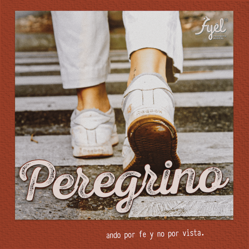 Portada_Peregrino