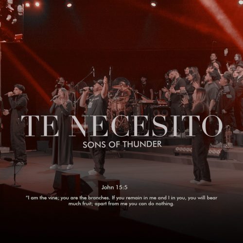 TE NECESITO - PLATAFORMAS